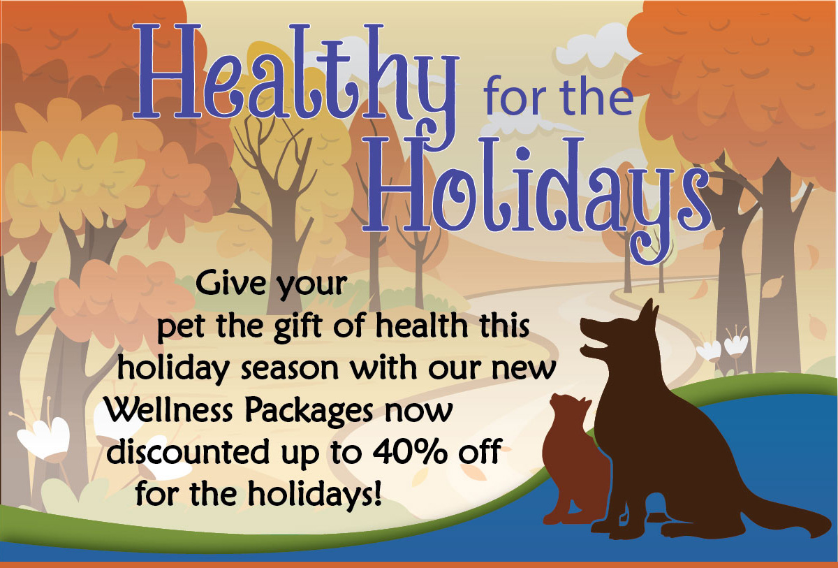 Healthy for the Holidays Wellness Packages at up to 40% off!
